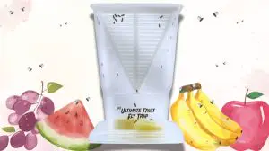 The Ultimate Fruit Fly Trap | New Overstock Manifested Load
