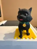 Toto 5″ Collectible | New Overstock Manifested Load