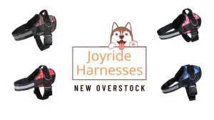 Joyride Harnesses | New Overstock Loads