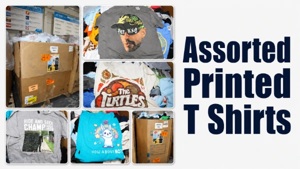 Assorted Printed T-Shirts - Pop culture | Irregulars Unmanifested Pallets
